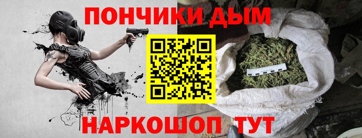 Каннабис сатива Кизляр
